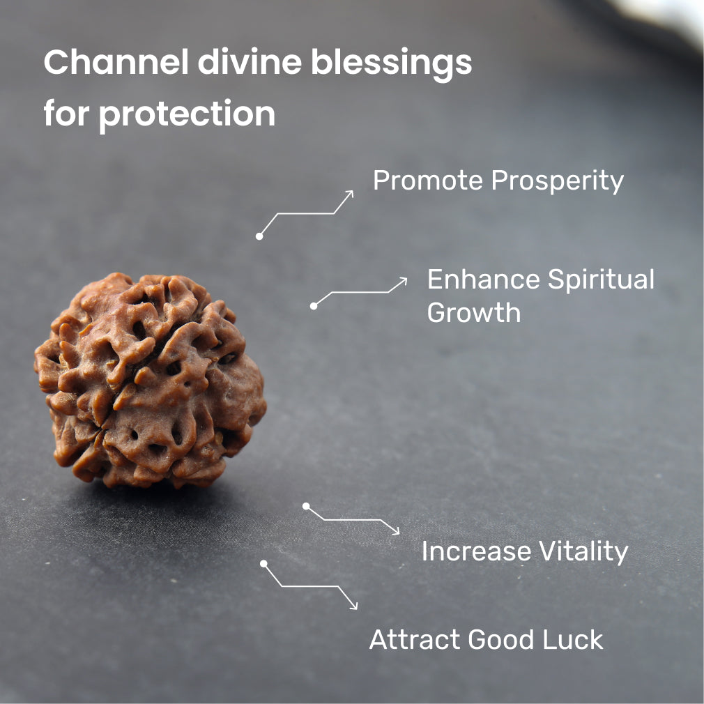 https://cdn.shopify.com/s/files/1/0717/6706/4739/files/4_20Mukhi_20Rudraksha-2_94e6e0ce-0bdb-4555-8dea-339e2415c972.jpg?v=1758205403