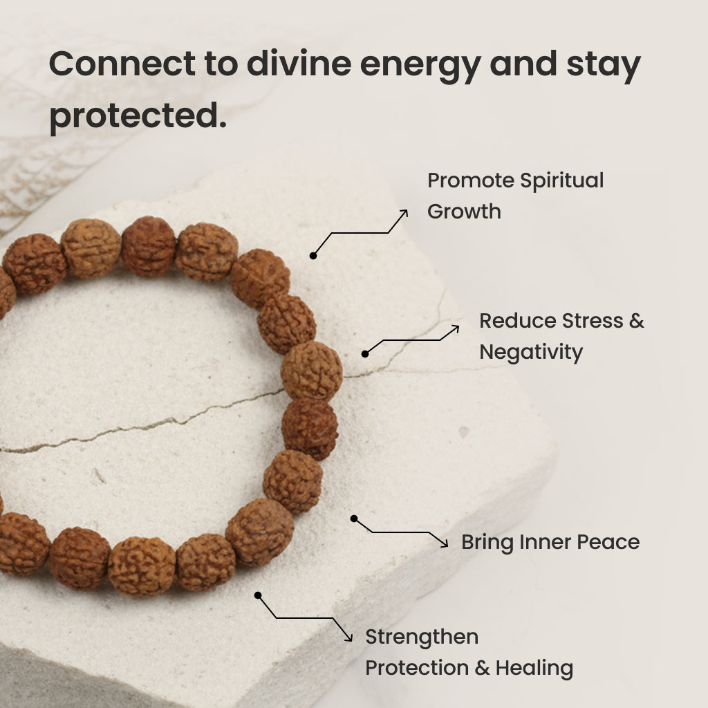 https://cdn.shopify.com/s/files/1/0717/6706/4739/files/5_20Mukhi_20Rudraksha_203.jpg?v=1758203434
