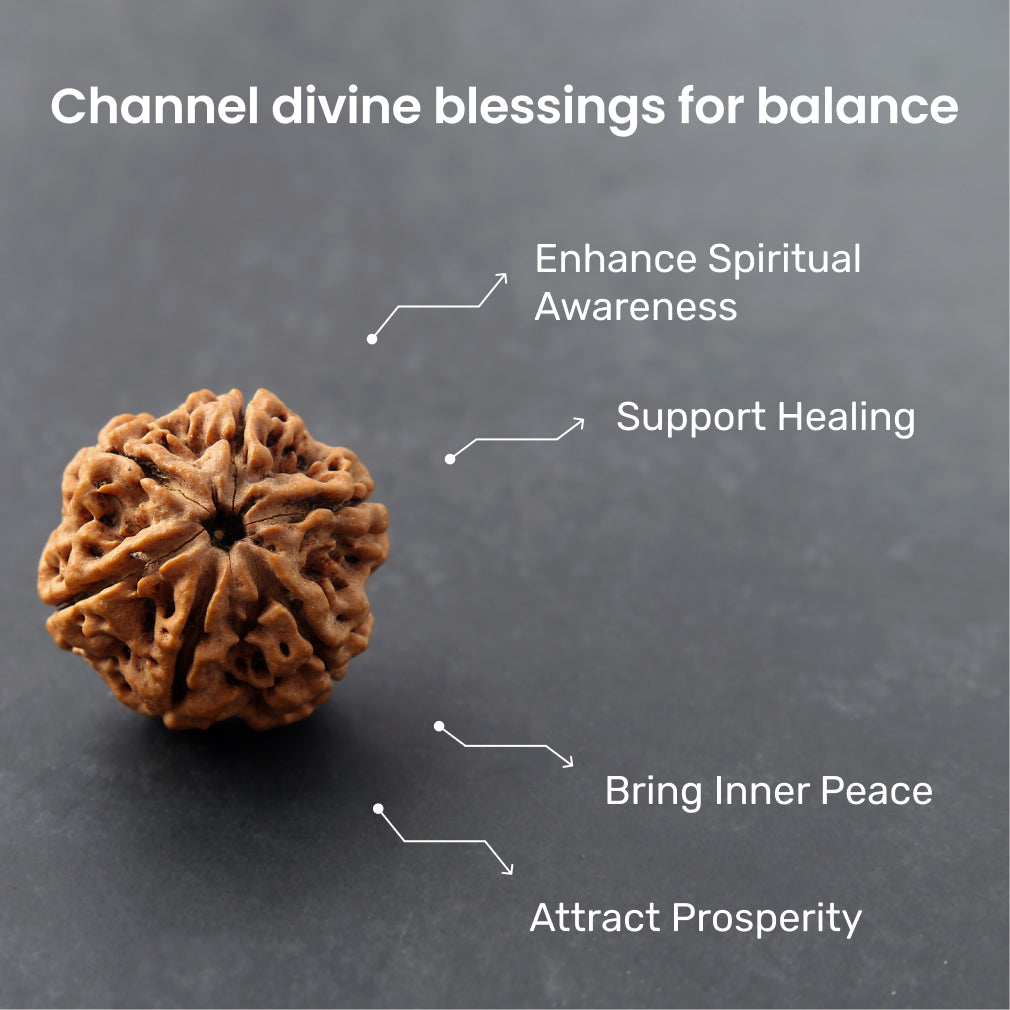 https://cdn.shopify.com/s/files/1/0717/6706/4739/files/6_20Mukhi_20Rudraksha-2_75cfac2d-b428-44e3-8e49-f326155a6c9f.jpg?v=1758205526