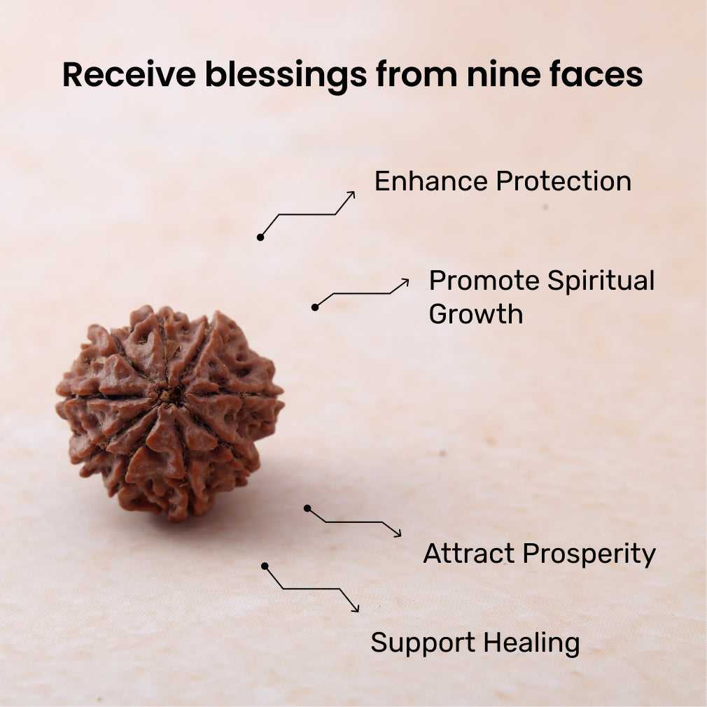 https://cdn.shopify.com/s/files/1/0717/6706/4739/files/9_20Mukhi_20Rudraksha-1_094e178f-213d-407d-9538-0ccd4e8b1b79.jpg?v=1758205275