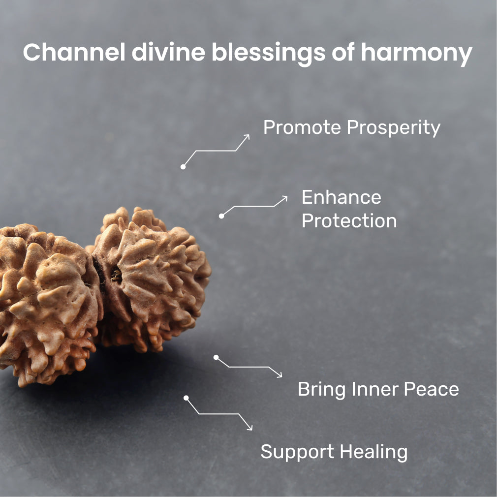 https://cdn.shopify.com/s/files/1/0717/6706/4739/files/Gouri_20Shankar_20Rudraksha-3_23f79d7f-9206-4eaa-afaf-9e1e315416d8.jpg?v=1770430622