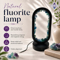 Astropreet Natural Fluorite Crystal Lamp (OVAL) – The Stone of Mental Clarity & Focus